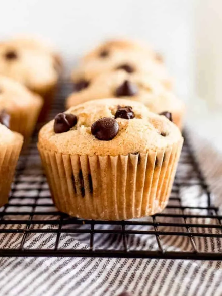 Chocolate Chip Protein Muffin